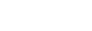 logo MDS Finance transp